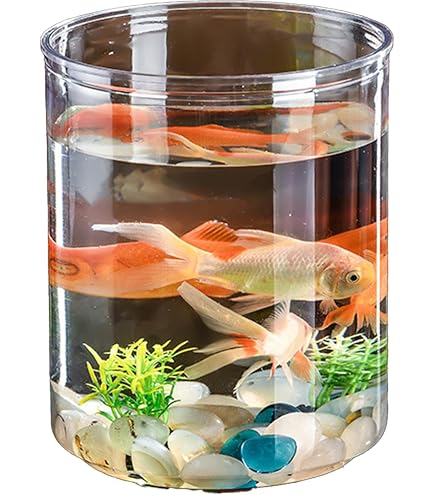 Amazon | AYAGANES 金魚鉢 円筒型 アクリル水槽 透明 メダカ 金魚
